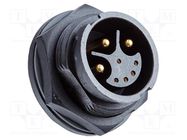 Connector: circular; socket; size D; male/female; PIN: 8(6+2); IP67 AMPHENOL LTW