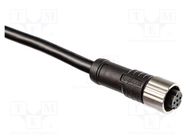 Plug; M12; PIN: 8; female; 1m; Insulation: PVC; IP68; 2A; straight AMPHENOL LTW