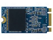 Data storage device: Solid State Drive; M.2 2242; 64GB; SATA 3.2 GOODRAM INDUSTRIAL