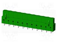 Pluggable terminal block; 7.62mm; straight; socket; female; THT AMPHENOL ANYTEK