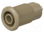 Connector: 4mm banana; socket; 24A; 1kV; brown; nickel plated STÄUBLI