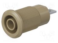 Connector: 4mm banana; socket; 24A; 1kV; Cutout: Ø12.2mm; brown STÄUBLI