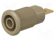 Connector: 4mm banana; socket; 32A; 1kV; Cutout: Ø12.2mm; brown STÄUBLI