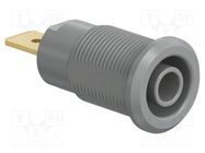 Connector: 4mm banana; socket; 32A; 1kV; Cutout: Ø12.2mm; grey STÄUBLI