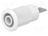 Connector: 4mm banana; socket; 32A; 1kV; Cutout: Ø12.2mm; white STÄUBLI