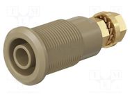 Connector: 4mm banana; socket; 32A; brown; gold-plated STÄUBLI