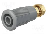 Connector: 4mm banana; socket; 32A; white; gold-plated STÄUBLI