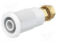 Connector: 4mm banana; socket; 32A; grey; gold-plated STÄUBLI