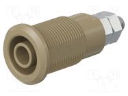 Connector: 4mm banana; socket; 32A; brown; nickel plated STÄUBLI