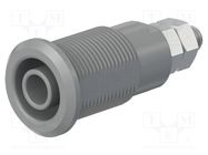 Connector: 4mm banana; socket; 32A; white; nickel plated STÄUBLI