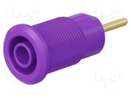 Socket; 4mm banana; 24A; 1kV; violet; gold-plated; on panel STÄUBLI