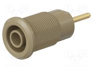 Connector: 4mm banana; socket; 24A; 1kV; brown; gold-plated STÄUBLI