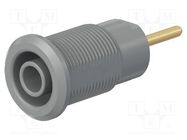 Connector: 4mm banana; socket; 24A; 1kV; grey; gold-plated STÄUBLI