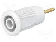 Connector: 4mm banana; socket; 24A; 1kV; white; gold-plated STÄUBLI