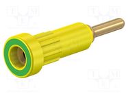 Connector: 2mm banana; socket; 10A; Overall len: 24.5mm; insulated STÄUBLI