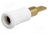 Connector: 4mm banana; socket; 25A; 30VAC; 60VDC; 30mm; white STÄUBLI