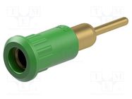 Connector: 4mm banana; socket; 25A; 30VAC; 60VDC; green; on panel STÄUBLI