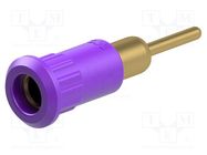 Connector: 4mm banana; socket; 25A; 30VAC; 60VDC; violet; on panel STÄUBLI