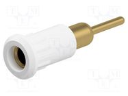 Socket; 4mm banana; 25A; 30VAC; 60VDC; white; gold-plated; on panel STÄUBLI