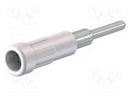 Socket; 2mm banana; 10A; 30VAC; 60VDC; Overall len: 24.5mm; white STÄUBLI