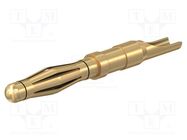 Connector: 2mm banana; plug; 10A; 30VAC; 60VDC; gold-plated STÄUBLI