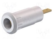 Connector: 2mm banana; socket; 10A; 28mm; white; soldered,on panel 