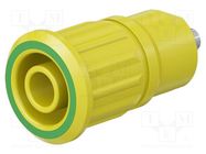 Connector: 4mm banana; socket; 24A; 1kV; yellow-green; on panel STÄUBLI