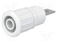 Connector: 4mm banana; socket; 32A; 1kV; white; nickel plated STÄUBLI