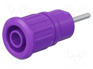 Connector: 4mm banana; socket; 24A; 1kV; L: 35.5mm; violet; on panel STÄUBLI