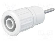 Connector: 4mm banana; socket; 24A; 1kV; L: 35.5mm; white; on panel STÄUBLI