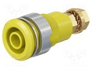 Connector: 4mm banana; socket; 32A; yellow; gold-plated STÄUBLI