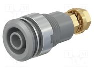 Connector: 4mm banana; socket; 32A; white; gold-plated STÄUBLI