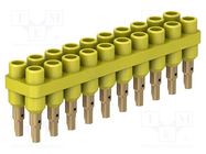 Socket strip; 2mm banana; yellow; 70VDC; 10A; 33VAC; Sockets: 20 STÄUBLI