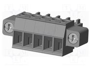 Pluggable terminal block; 3.81mm; straight; plug; female; UL94V-0 AMPHENOL ANYTEK