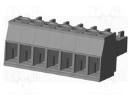 Pluggable terminal block; 3.81mm; straight; plug; female; UL94V-0 AMPHENOL ANYTEK