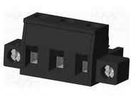 Pluggable terminal block; 7.62mm; straight; plug; female; UL94V-0 AMPHENOL ANYTEK