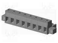 Pluggable terminal block; 7.62mm; straight; plug; female; UL94V-0 AMPHENOL ANYTEK