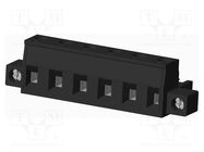 Pluggable terminal block; 7.62mm; straight; plug; female; UL94V-0 AMPHENOL ANYTEK