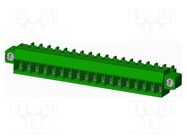 Pluggable terminal block; 3.81mm; straight; plug; female; 1.5mm2 AMPHENOL ANYTEK