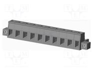 Pluggable terminal block; 7.62mm; straight; plug; female; UL94V-0 AMPHENOL ANYTEK