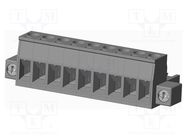 Pluggable terminal block; 5.08mm; straight; plug; female; UL94V-0 AMPHENOL ANYTEK