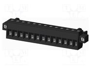 Pluggable terminal block; 5mm; straight; plug; female; UL94V-0 AMPHENOL ANYTEK