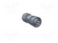 Connector: circular; plug; size C; male/female; PIN: 8(6+2); IP67 AMPHENOL LTW