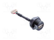 Adapter cable; USB A socket,5pin pin header; USB 2.0; IP68 AMPHENOL LTW