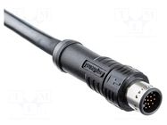 Connector: M12; plug; male; MPronto-12; PIN: 17; straight; 1.5A; 30V AMPHENOL LTW