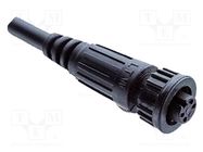 connector ACB-04AFFM-SL7A01 AMPHENOL LTW