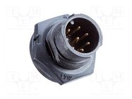 connector BBD-06PMMS-QC8001 AMPHENOL LTW