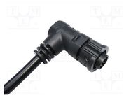 connector BD-03AFMM-QR8D01 AMPHENOL LTW