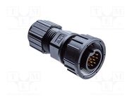 connector CB-04BFMA-SL7001 AMPHENOL LTW