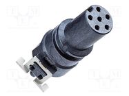 connector M8-06PFFT-EE0001 AMPHENOL LTW